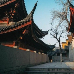 中国最浪漫的古都 感受一下满是梧桐树的城市