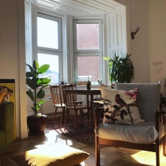 <b>一个人住小公寓太美好 独享阳光植物和一整墙的书</b>