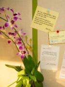 看《疯狂动物城2》也能启发你的冬日妆容新灵感！