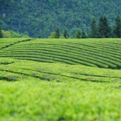 <b>夏天“玻璃海”超惊艳 避暑我打满分</b>